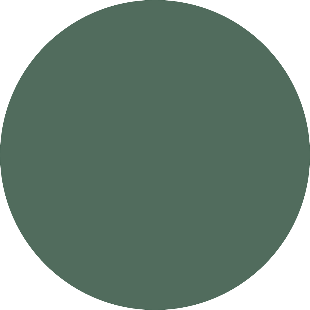 ProGrid Rasengitter in der Farbe Grün